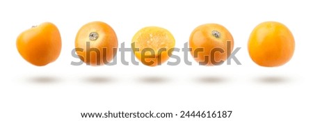 Ripe orange physalis fruits flying on white background, set Royalty-Free Stock Photo #2444616187