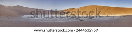 Panoramic picture of the Deadvlei salt pan in the Namib Desert with dead trees in front of red sand dunes in the morning light in summer