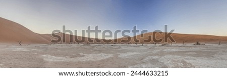Panoramic picture of the Deadvlei salt pan in the Namib Desert with dead trees in front of red sand dunes in the morning light in summer