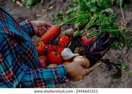 boy in the garden holding a bowl of freshly picked vegetables. selective focus.