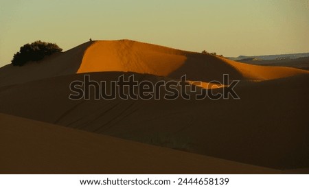 Evening in Merzuga desert in south Marocco
