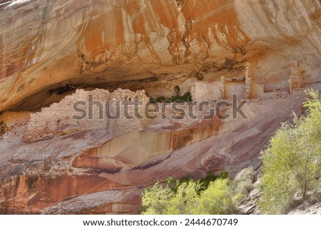 Anasazi Ruins, Monarch Cave, Butler Wash, near Bluff, Utah, United States of America, North America Royalty-Free Stock Photo #2444670749