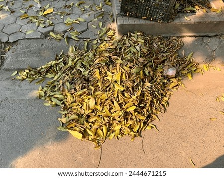 The pile of dry leaves was neatly swept to the curb