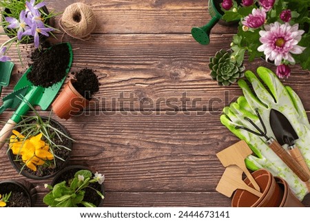 Embrace the essence of spring gardening. Top-view image showcases seedling flowers, gardening essentials, and wooden markers on a brown wood surface. Space allocated for text or advertising purposes Royalty-Free Stock Photo #2444673141