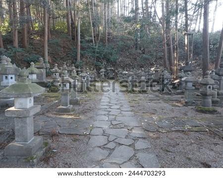 Ancient Japanese cemetery surrounded by big trees