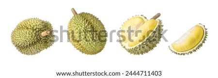 Collection of durian fruit isolated on white background.