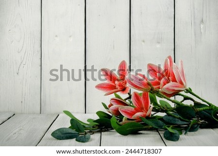 Lilies are flowers. Bouquet of saffron, chrysanthemums, roses, tulips. On a wooden background. On my birthday. March 8. Valentine's Day. for a wedding. Holiday concept. For the designer.
