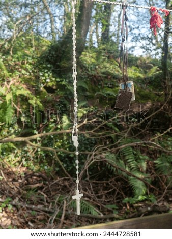 Rosary beads and religious necklaces hanging in a forest setting at St. Bridget's Well, Artramon, Co. Wexford Royalty-Free Stock Photo #2444728581