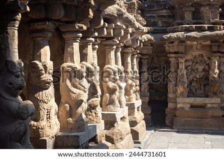 The pillars of the Kailasanathar Temple also referred to as the Kailasanatha temple, Kanchipuram, Tamil Nadu, India. It is a Pallava era historic Hindu temple.  Royalty-Free Stock Photo #2444731601