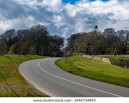 Long irish road with grass verges tress and a stone wall at Artramon County Wexford Ireland Royalty-Free Stock Photo #2444734895