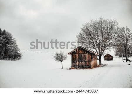 winter, winter landscape, snow, barn, meadow, tree, forest, walk, hiking, path, roof, house