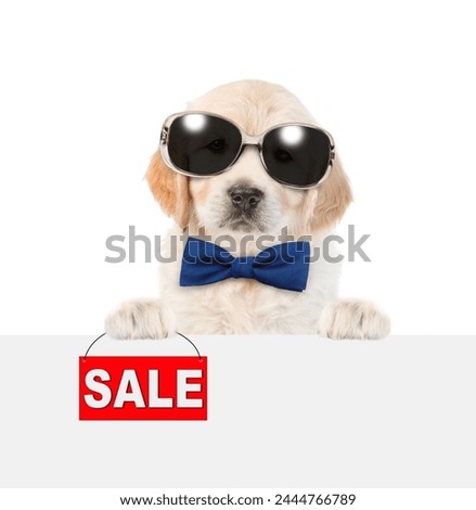 Cute Golden retriver puppy wearing sunglasses and tie bow shows signboard with labeled "sale" above empty white banner. isolated on white background