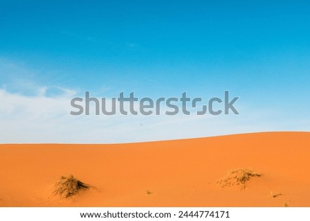 Merzouga desert in Morocco. Clear sky and orange sand reflecting.