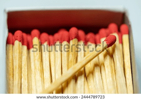 Set of several red-headed matchsticks formed in parallel with one of them in an oblique position. Royalty-Free Stock Photo #2444789723