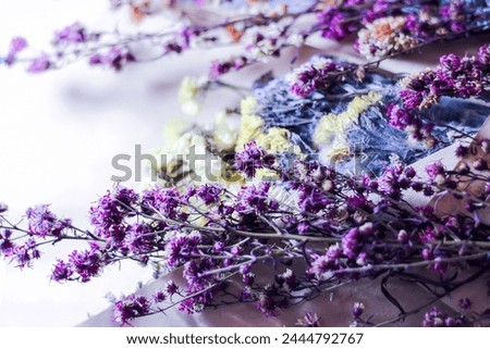 Pictures of dried flowers purple flowers for background and wallpaper.