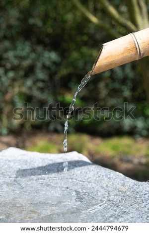 Clear water in a bamboo fountain. Street water source. Decorative garden structure with a stone bowl in Japanese style.