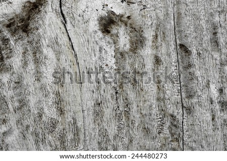 texture of old wooden board use for background