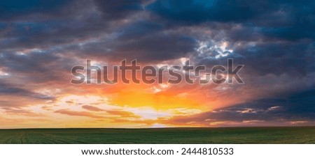 Spring Sunset Sky Above Countryside Rural Meadow Landscape. Wheat Field Under Sunny Spring Sky. Skyline. Agricultural Landscape With Growing Green Young Wheat Shoots, Wheat Germs. Copy Space.