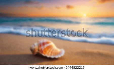 Beach with shell blurred background