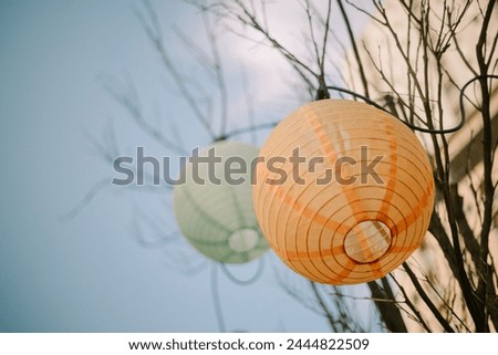Ornamental balls made of cloth and bamboo are displayed on a tree branch
