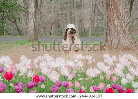A woman takes pictures of colorful tulips blooming in a tulip field in Saitama