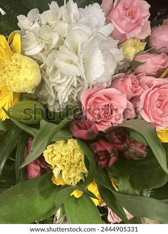 A beautiful arrangement with different colours of flowers image nature beauty
