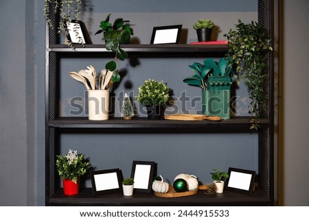 A well-arranged kitchen shelf featuring an array of green potted plants, cooking utensils, and decorative items against a gray wall. Royalty-Free Stock Photo #2444915533