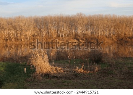 Amazing winter scenery, golden sunset at the river Tisa. 