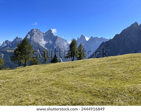 Sunny Dolomite Peaks and Vibrant Alpine Meadow in South Tyrol, Italy - Scenic Mountain Landscape for Stock Photography