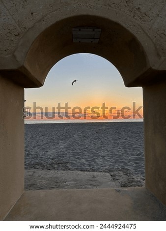 sunrise at the beach with bird