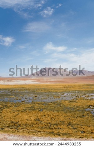 Colorful landscape of volcanic mountain in Atacama desert, Chile