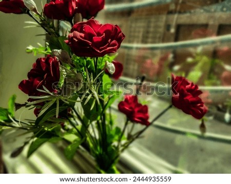 A bunch of red roses with green leaves with the kiss of sun that make you feel better in your life