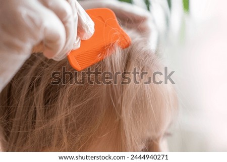 Close-up child's head with female hands searching for lice and nits in hair, combing through with orange comb for removal, Medical Examination