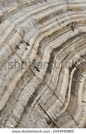 The structure of the bottom and water of the exposed shore of a mountain lake