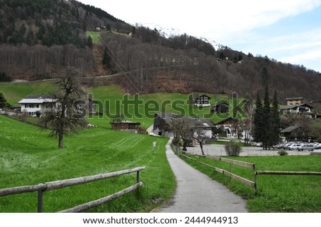 idilic green alpine landscape photo