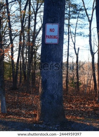 no parking sign on a random tree