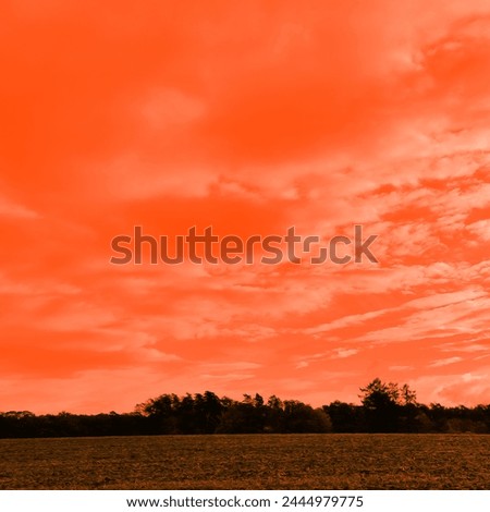 Beautiful red sky, dark red horizon with trees and bushes, natural background for text, colored picture, NO AI