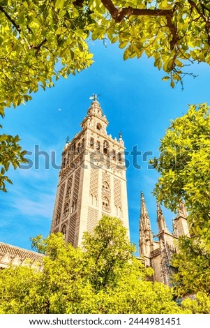Seville Cathedral and Giralda Tower during Beautiful Sunny Day in Seville, Spain  Royalty-Free Stock Photo #2444981451