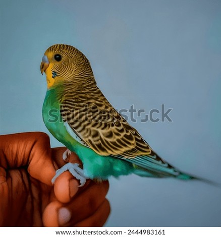 Green Budgerigar Bird Picture. Natural Picture. 4K Image.