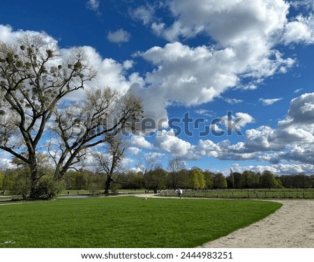 Old trees with mistletoes against blue cloudy sky along green meadows-spring walk in the English Garden in Munich, Germany- Bavaria with its traditional state colors white and blue, symbol, background