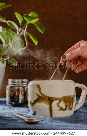 hand holding tea infuser over steaming tea mug with a plant behindmug, tea, infuser, hand, steam, tea ball, strainer, ceramic, ritual, morning, afternoon, brown, dark background, plant, morning, light Royalty-Free Stock Photo #2444997627