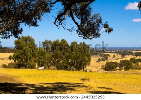 The scenic picturesque rural and farming area pictured in autumn in Ferguson Valley near Dardanup South Western Australia is a tourists' paradise with hills and valleys, wineries and accommodation .