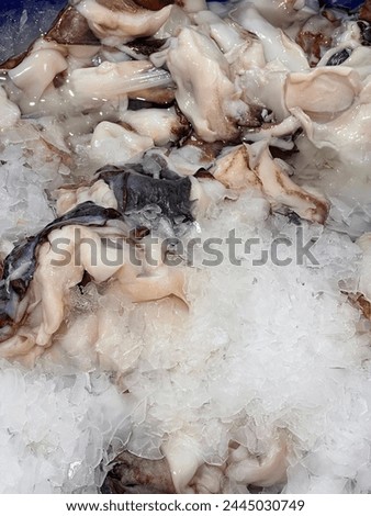 a photography of a bunch of seafood in a bowl of ice.