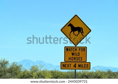 watch for wild horses road sign in rural arizona