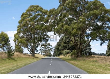 Background of an open Road, Lined by large gum trees: A picturesque view of an asphalt road stretching straight ahead by tall eucalyptus. A serene drive through the countryside in rural Australia.