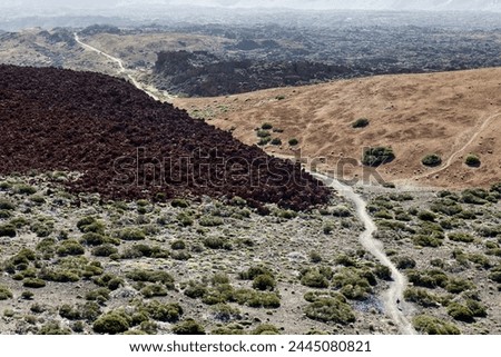 Inhospitable landscape of the Mount Teide Caldera Royalty-Free Stock Photo #2445080821