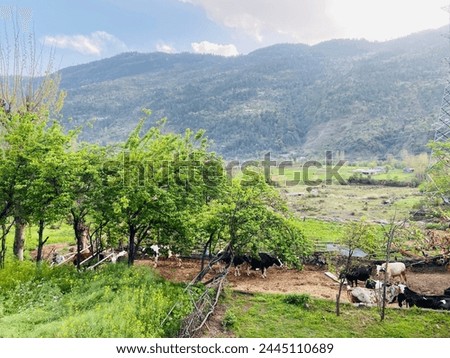 A serene landscape featuring lush greenery with towering mountains in the background under a clear blue sky.