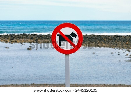 No dogs allowed sign on the beach. Prohibition sign on the beach for walking dogs