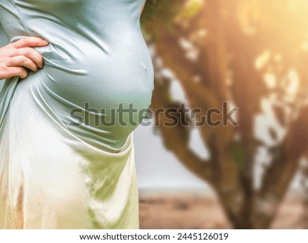 Portrait of pregnant young woman's belly on the beach on vacation