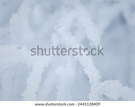 Snow and rime ice on the branches of bushes. Beautiful winter background with trees covered with hoarfrost. Plants in the park are covered with hoar frost. Cold snowy weather. Cool frosting texture. Royalty-Free Stock Photo #2445128409